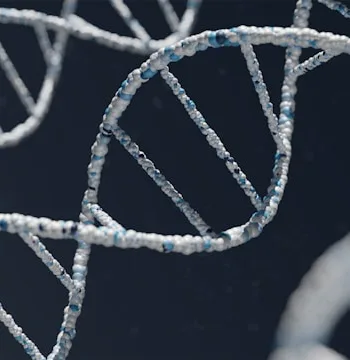 DNA