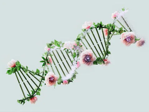DNA shaped vines